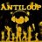 AntiLoop